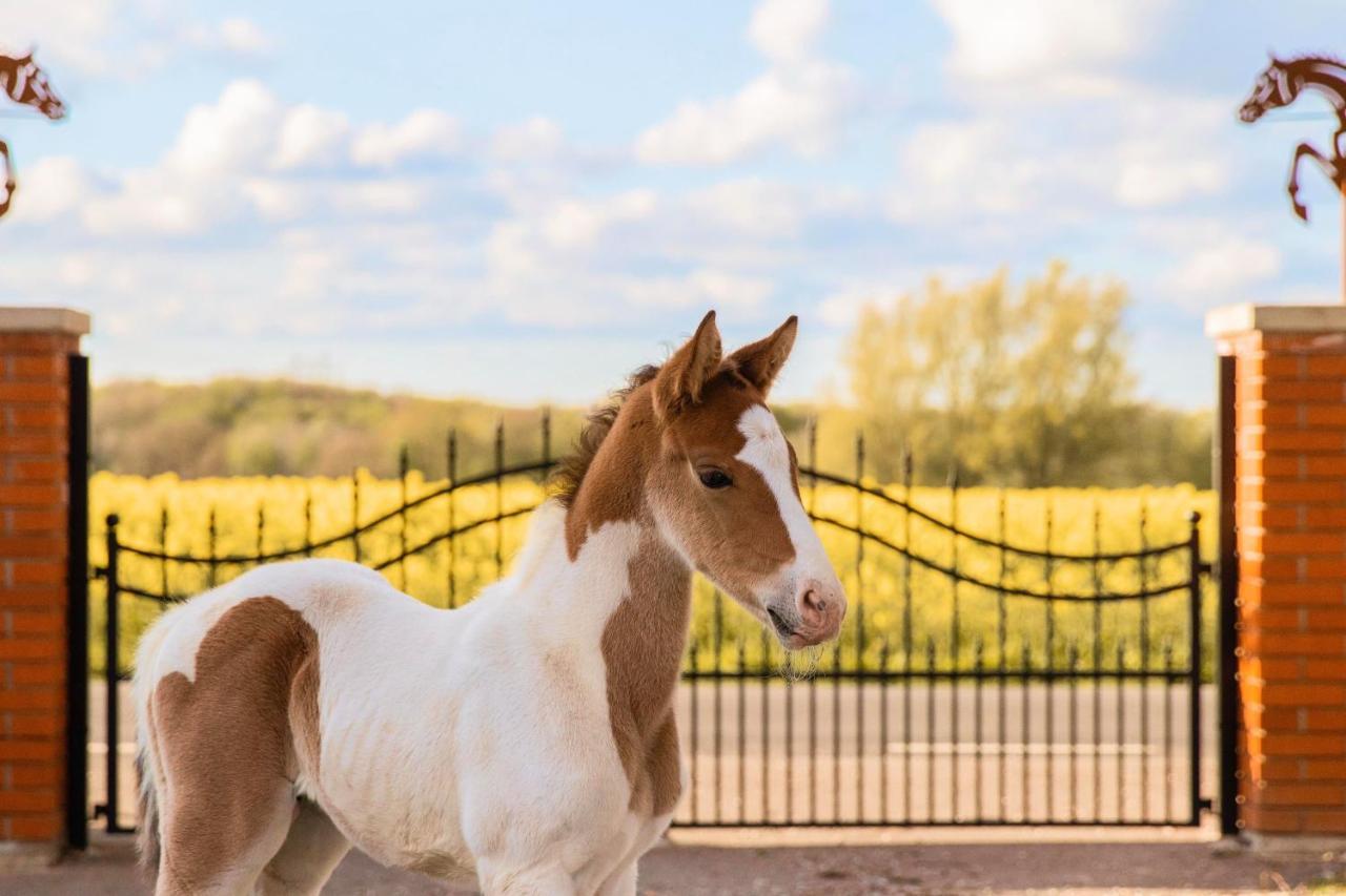 Dorisberg B&B - The Stables Loberod 외부 사진