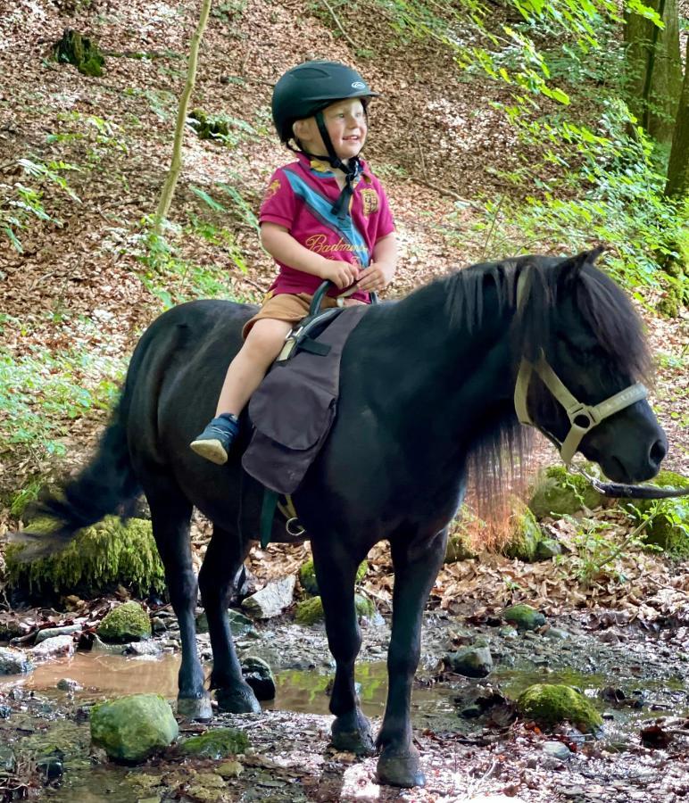 Dorisberg B&B - The Stables Loberod 외부 사진